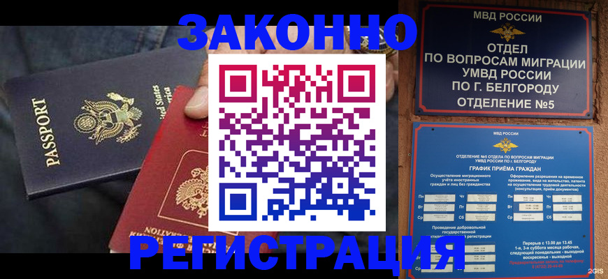 прописка законно в Шали